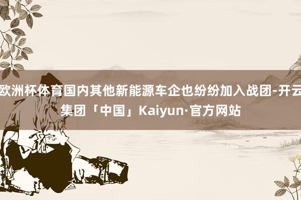 欧洲杯体育国内其他新能源车企也纷纷加入战团-开云集团「中国」Kaiyun·官方网站