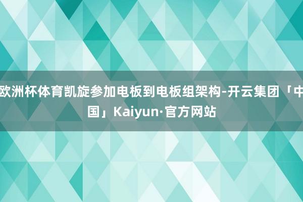 欧洲杯体育凯旋参加电板到电板组架构-开云集团「中国」Kaiyun·官方网站