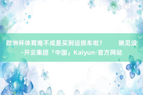 欧洲杯体育难不成是买到运损车啦？        瞅见没-开云集团「中国」Kaiyun·官方网站