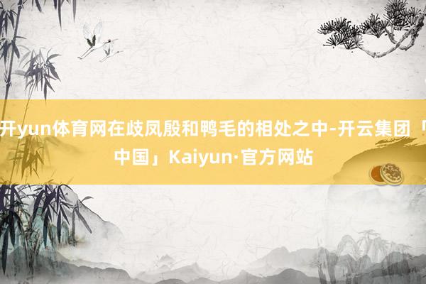 开yun体育网在歧凤殷和鸭毛的相处之中-开云集团「中国」Kaiyun·官方网站