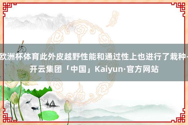 欧洲杯体育此外皮越野性能和通过性上也进行了栽种-开云集团「中国」Kaiyun·官方网站