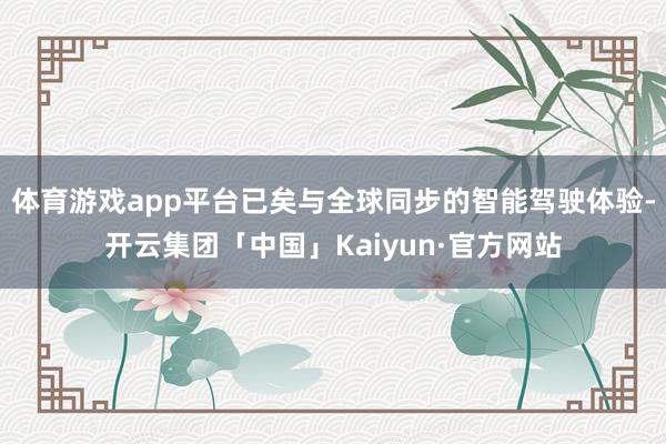 体育游戏app平台已矣与全球同步的智能驾驶体验-开云集团「中国」Kaiyun·官方网站