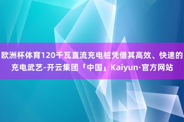 欧洲杯体育120千瓦直流充电桩凭借其高效、快速的充电武艺-开云集团「中国」Kaiyun·官方网站