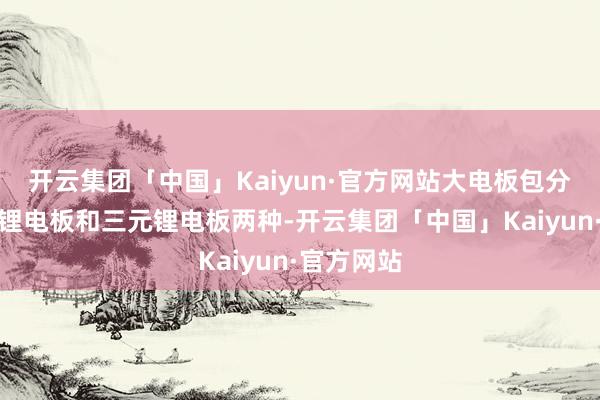 开云集团「中国」Kaiyun·官方网站大电板包分有磷酸铁锂电板和三元锂电板两种-开云集团「中国」Kaiyun·官方网站