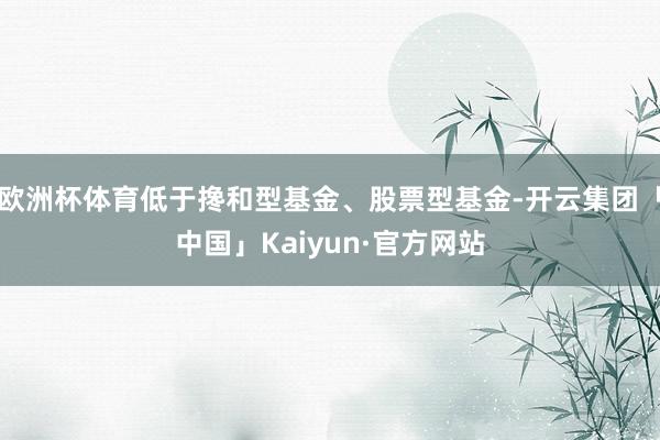 欧洲杯体育低于搀和型基金、股票型基金-开云集团「中国」Kaiyun·官方网站