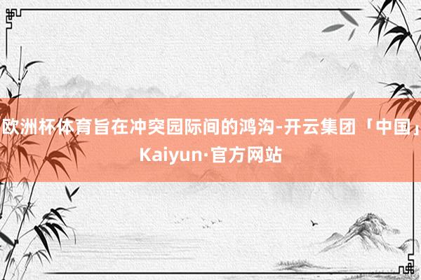 欧洲杯体育旨在冲突园际间的鸿沟-开云集团「中国」Kaiyun·官方网站